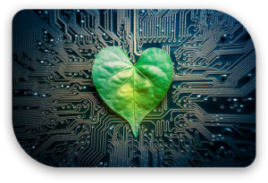 ESG Solutions